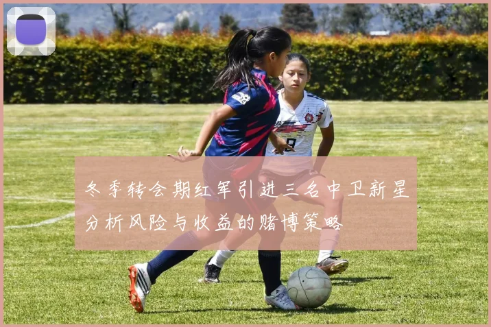 冬季转会期红军引进三名中卫新星分析风险与收益的赌博策略