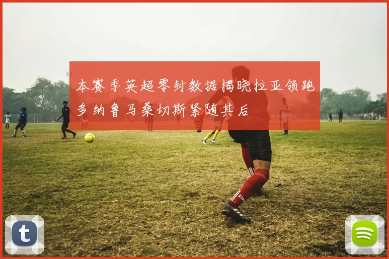 本赛季英超零封数据揭晓拉亚领跑多纳鲁马桑切斯紧随其后