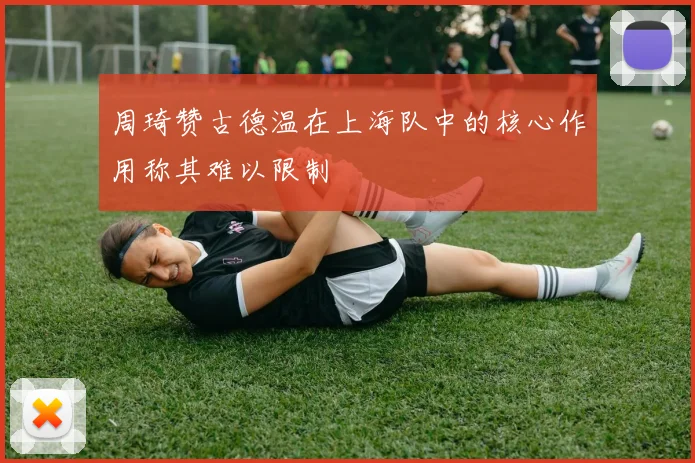周琦赞古德温在上海队中的核心作用称其难以限制